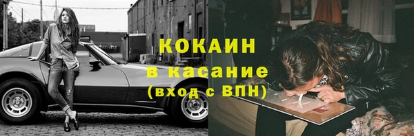 твердый Бородино