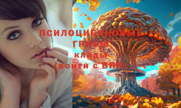 герыч Бронницы