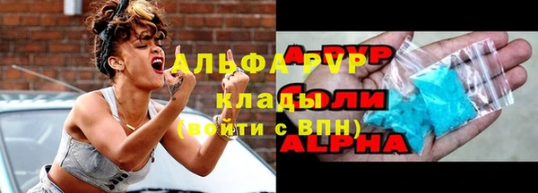 твердый Бородино