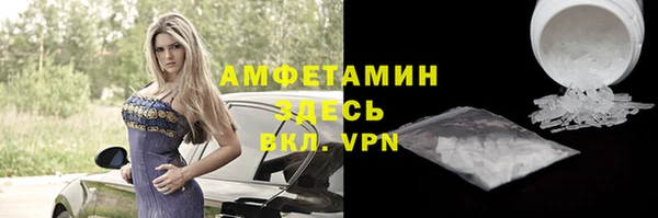 твердый Бородино