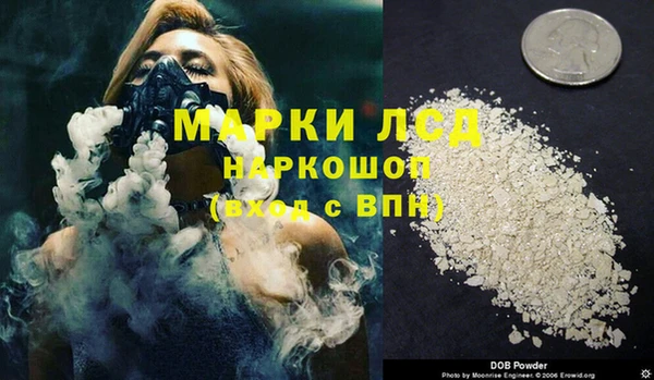 твердый Бородино