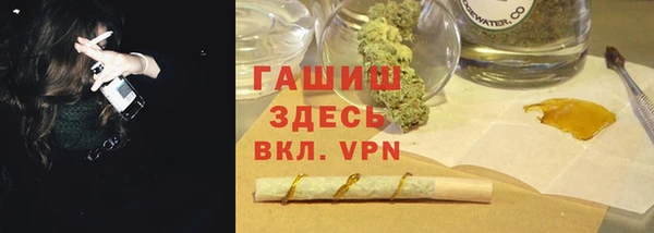 твердый Бородино