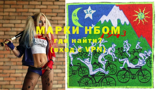 твердый Бородино