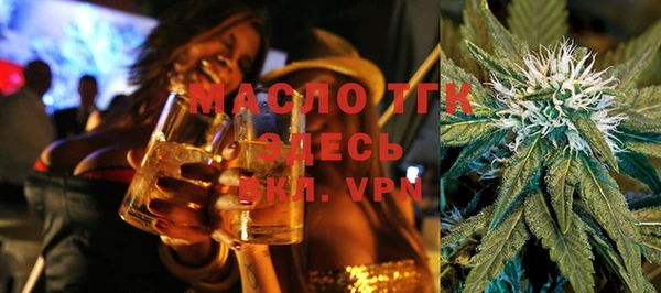 твердый Бородино