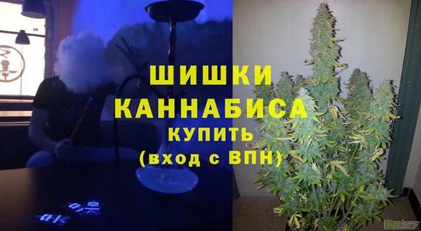 твердый Бородино