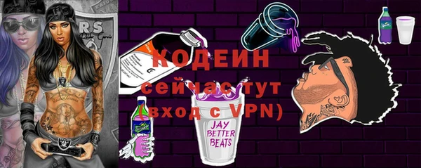 твердый Бородино